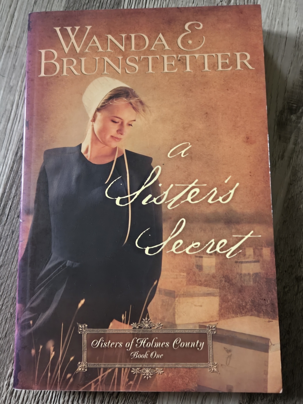 Wanda E Brunstetter Amish Fiction Book Lot Sisters of Holmes County Series 4pc - Picture 2 of 16